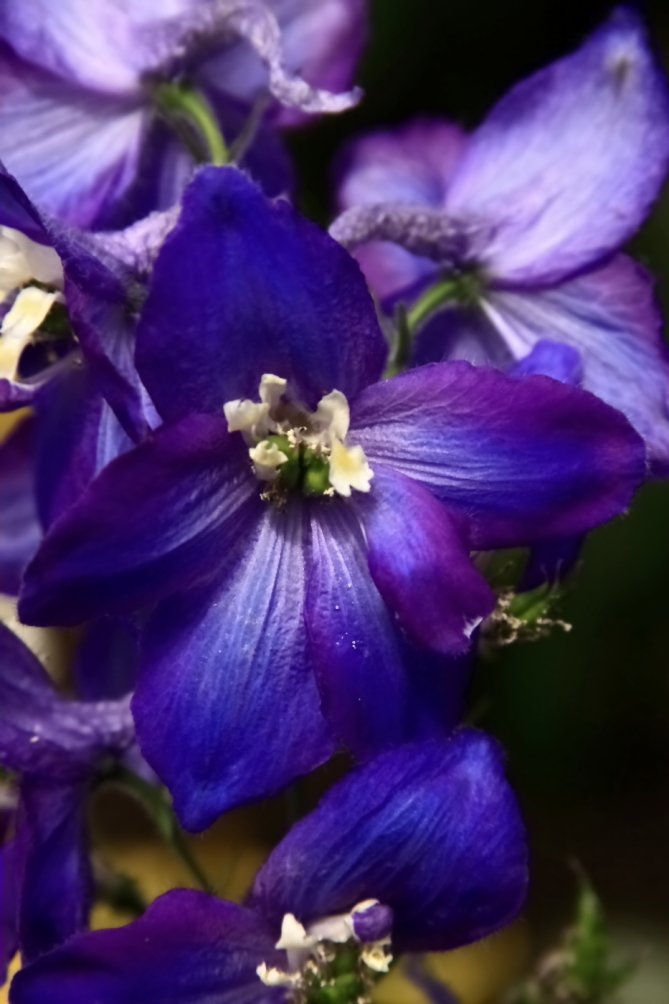 2011 04 26 IMG 28935e
